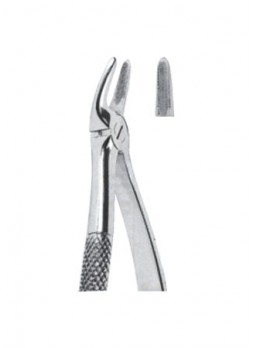 Extracting Forceps